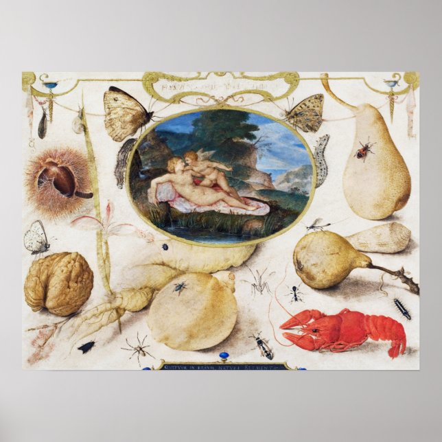 Póster Poster de Ilustracion botánico de época (Frente)