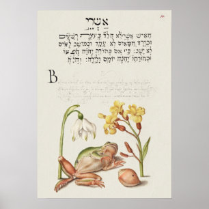 Póster Poster de Ilustracion botánico de época