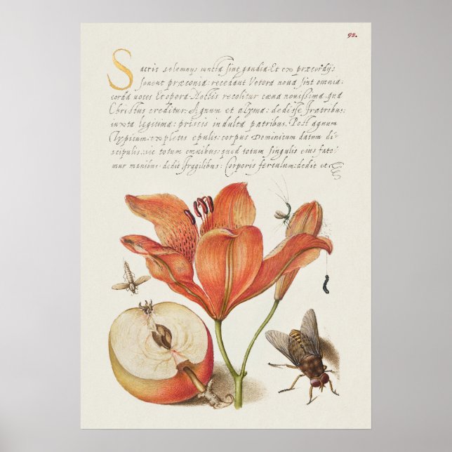 Póster Poster de Ilustracion botánico de época (Frente)