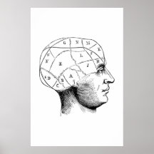 Poster de Ilustracion de Anatomía de Cabeza