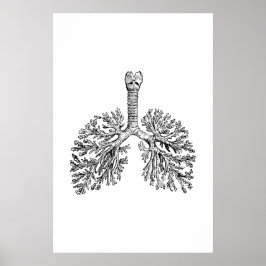 Póster Poster de Ilustracion de anatomía pulmonar
