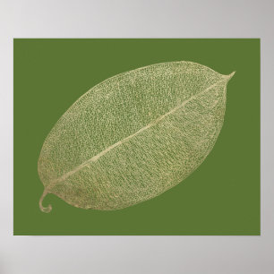 Póster Poster de Ilustracion de Cuadrícula de Hoja de Oro