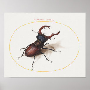 Póster Poster de Ilustracion de escarabajo de época