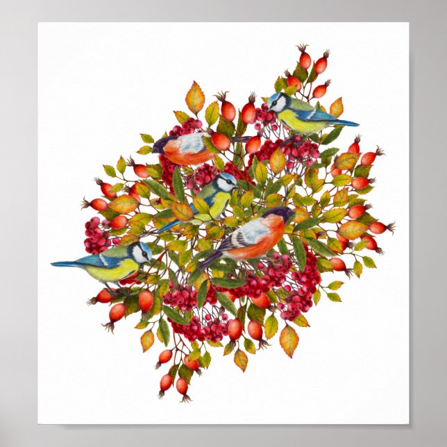 Póster Poster de Ilustracion de plantas botánicas y aves (Frente)