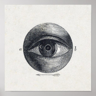 Póster Poster de Ilustracion ocular de época