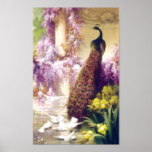Póster Poster de imagen de pavo real