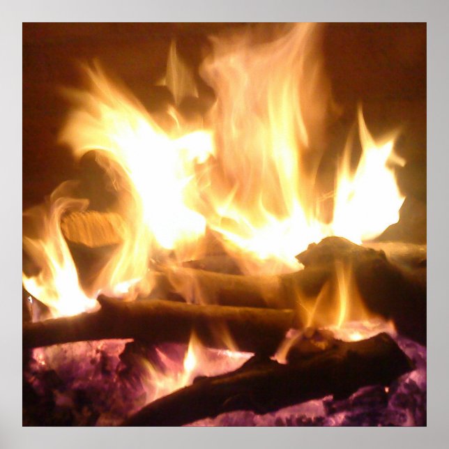 Póster Poster de incendios (Frente)