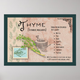 Póster Poster de información botánica Thyme Herb