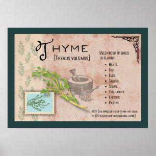 Póster Poster de información botánica Thyme Herb