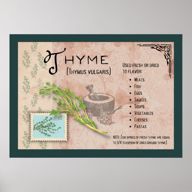 Póster Poster de información botánica Thyme Herb (Frente)