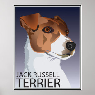 Póster Poster de Jack Russell Terrier