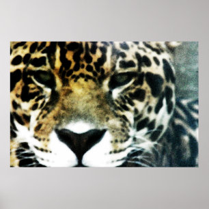 Póster Poster de Jaguar