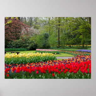 Póster Poster de jardín