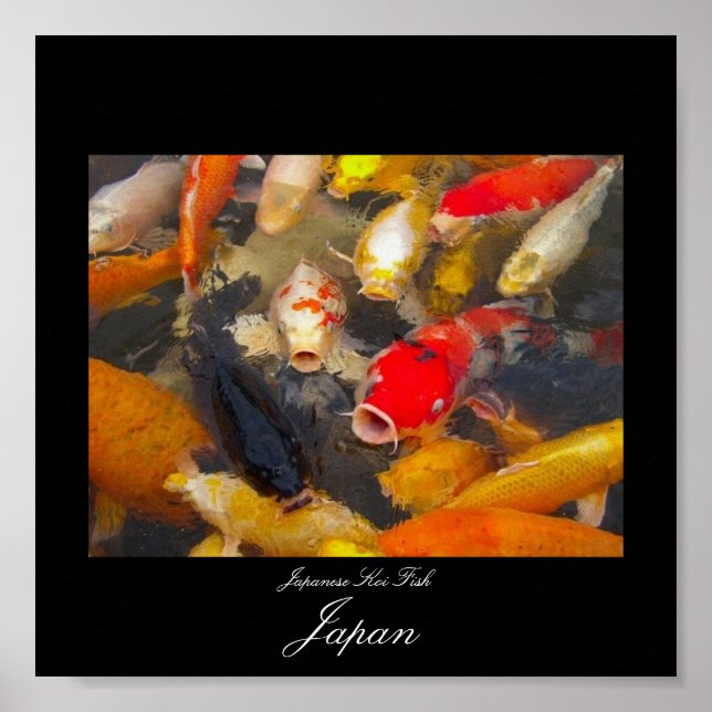 Póster Poster de Koi Fish en Japón (Frente)