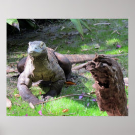 Póster Poster de Komodo Dragon (0606)