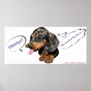 Póster Poster de la actitud del perrito del Dachshund