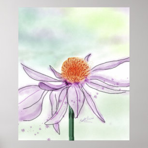 Póster Poster de la acuarela de la flor del cono