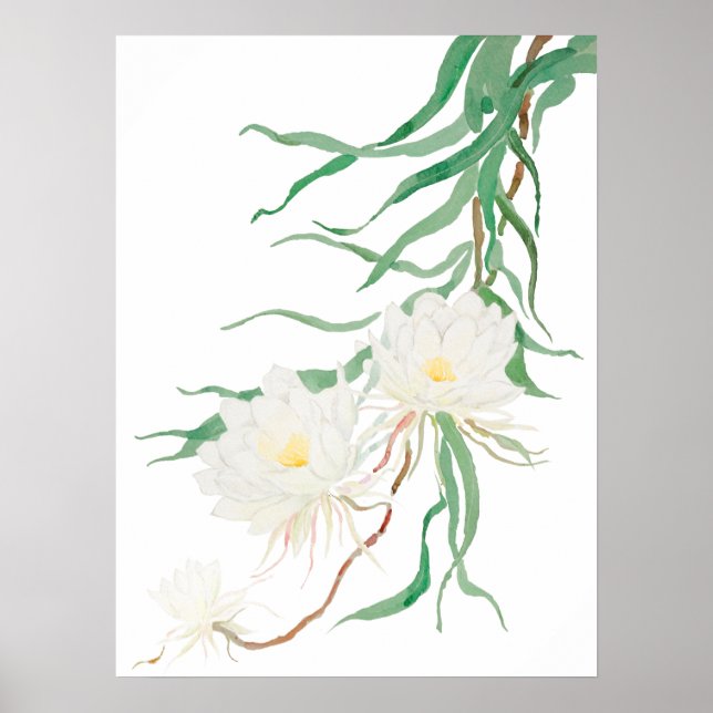 Póster poster de la acuarela de la flor epifilar blanca (Frente)