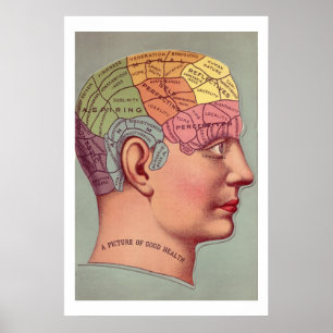 Póster Poster de la Antigüedad en la Frenología