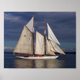 Póster Poster de la aventurera