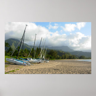 Póster Poster de la Bahía de Hanalei