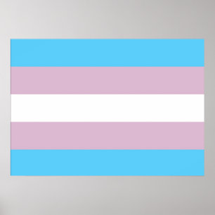 Póster Poster de la bandera del orgullo del transexual