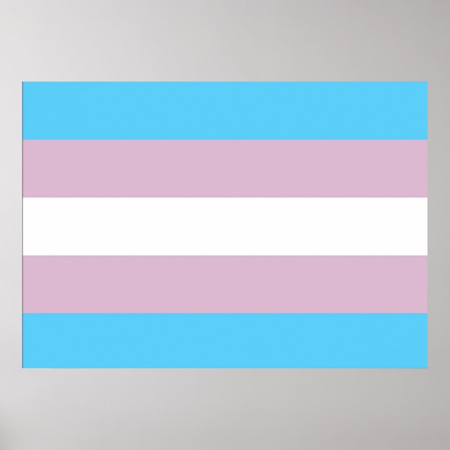 Póster Poster de la bandera del orgullo transgénero (Frente)