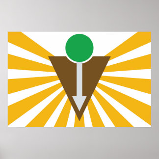 Póster Poster de la bandera quiropráctica