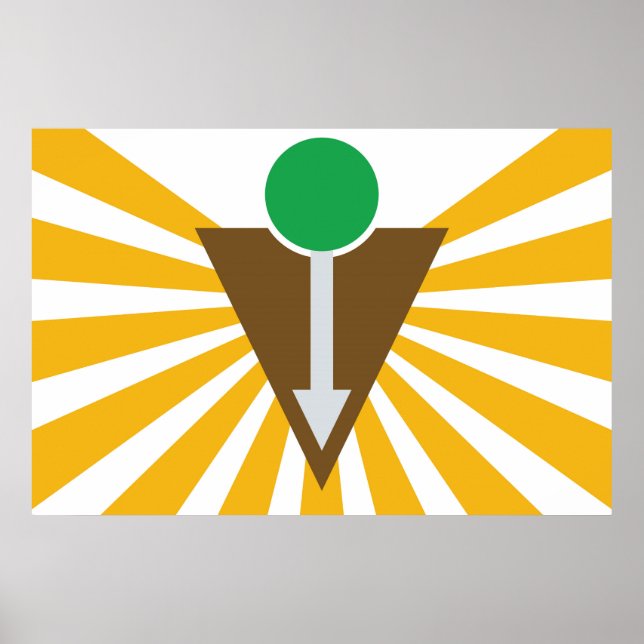 Póster Poster de la bandera quiropráctica (Frente)