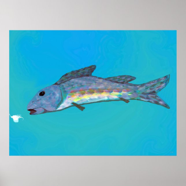 Póster Poster de la belleza del invierno (Frente)