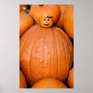 Póster Poster de la calabaza