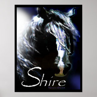 PÓSTER POSTER DE LA CAMISETA DE LA LUZ DE LA LUNA