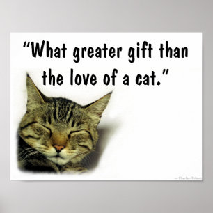 Póster Poster de la cita del gato