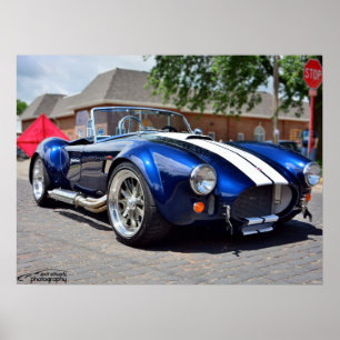 Póster Poster de la cobra