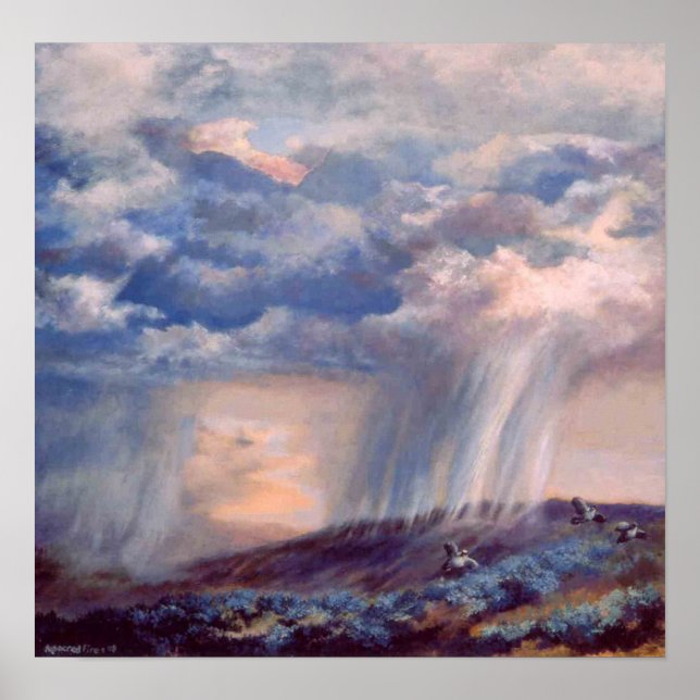 Póster Poster de la cola de la tormenta de lluvia eléctri (Frente)