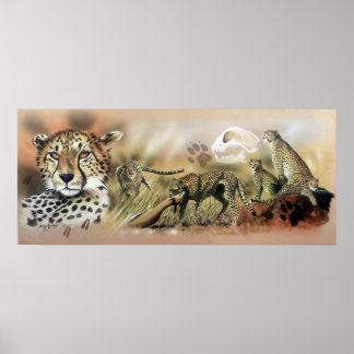 Póster Poster de la colección Cheetah