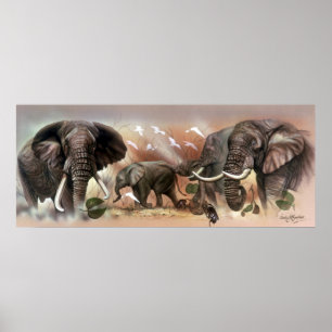 Póster Poster de la colección Elephant