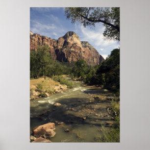 Póster Poster de la corriente de la montaña de Zion