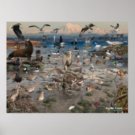 Póster Poster de la Costa del Pacífico