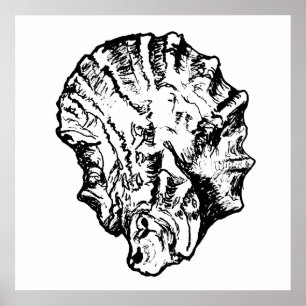 Póster Poster de la cubierta de ostión blanco y negro