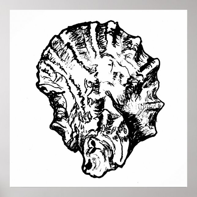 Póster Poster de la cubierta de ostión blanco y negro (Frente)