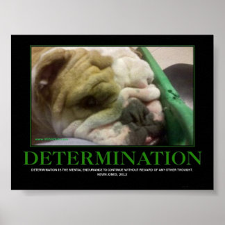 PÓSTER ¡POSTER DE LA DETERMINACIÓN!