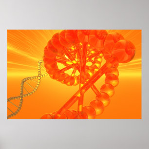 Póster Poster de la DNA