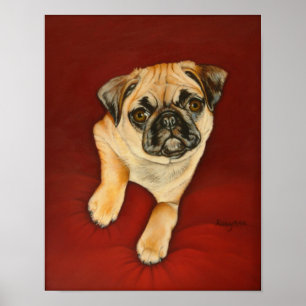 Póster Poster de la embajada