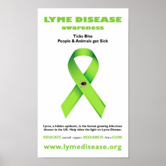Póster Poster de la enfermedad de Lyme