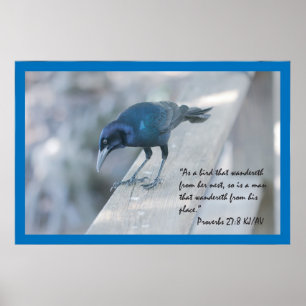 Póster Poster de la escritura del 27:8 de los proverbios