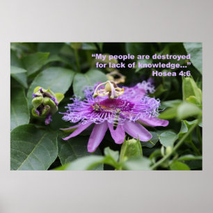 Póster Poster de la escritura del 4:6 de Hosea