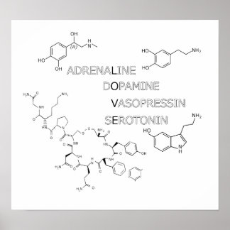 Póster Poster de la estructura química Love Geek