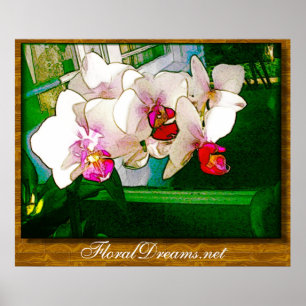 Póster Poster de la explosión de la orquídea