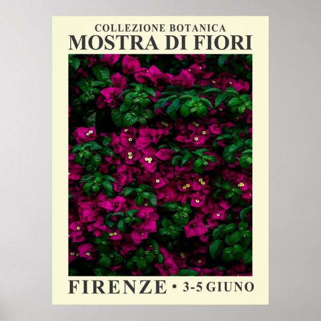 Póster Poster de la Exposición Floral No. 1 (Frente)